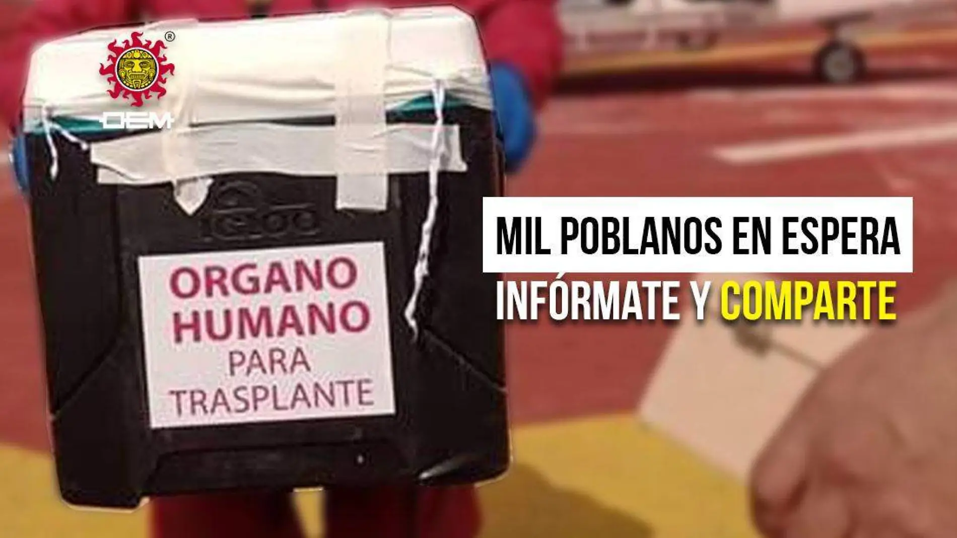 donación de órganos 